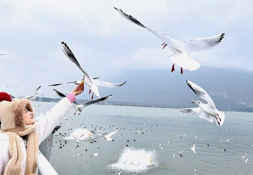 Hồ Điền Trì - Du lịch Hà Khẩu - Côn Minh - Núi Tuyết Kiệu Tử 4 ngày 3 đêm